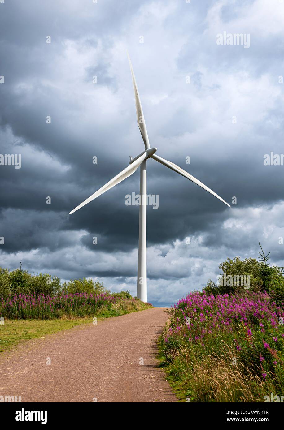 Landschaftsfotografie von Windkraftanlagen; Windmühle; Windkraft; Stromerzeugung; Elektrizität; Industrie; Dekarbonisierung; Innovation; grüne Energie, weiß Stockfoto