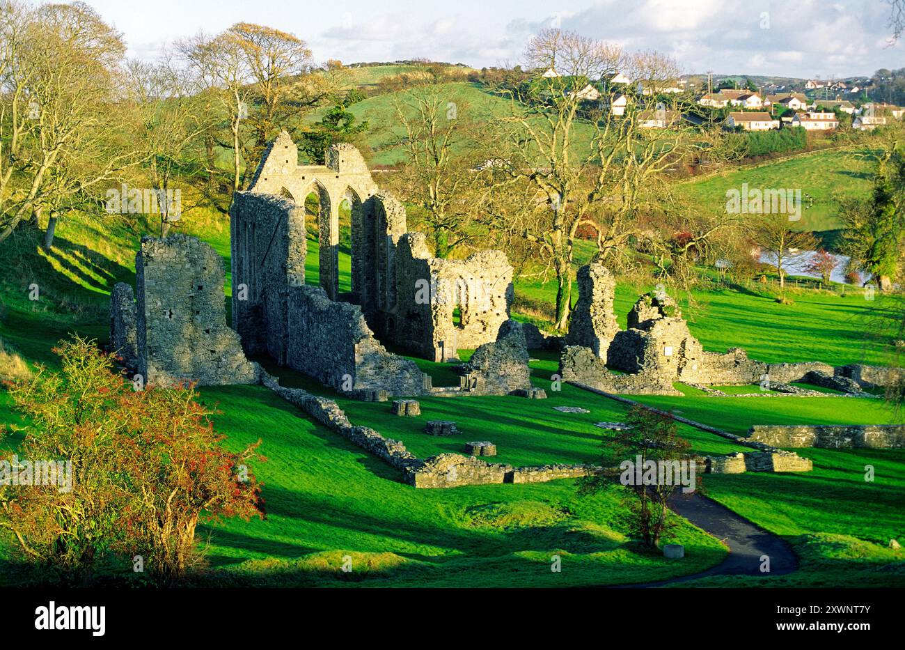 Zoll-Abtei in der Nähe von Downpatrick, County Down, Nordirland. Norman Zisterzienser-Abtei von John de Courcy 1180 gegründet Stockfoto