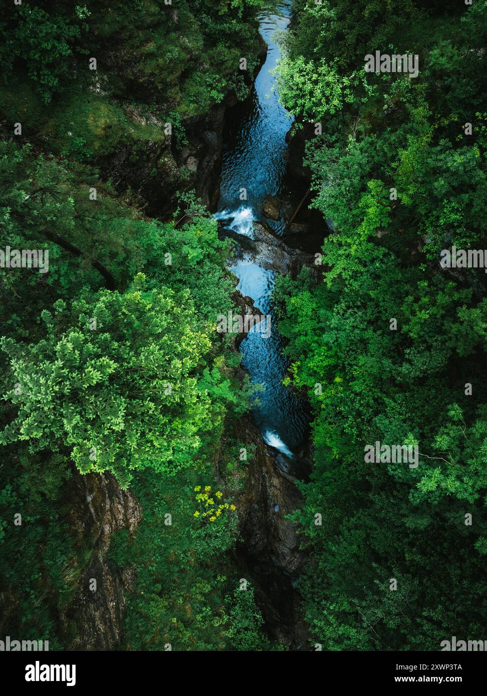 Luftbild eines Wasserfalls in einem tiefen, üppigen Wald, Österreich Stockfoto
