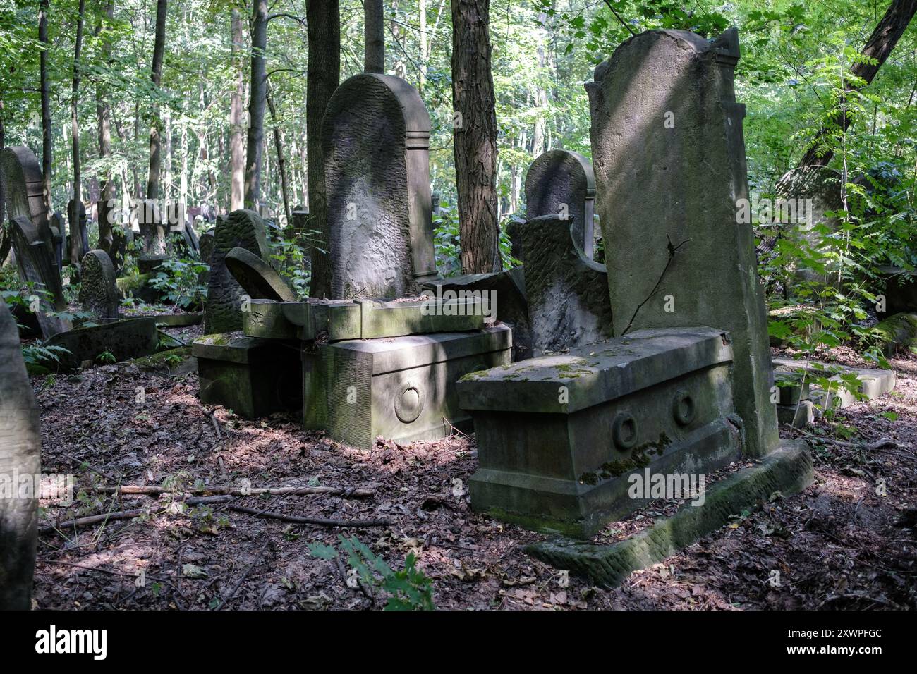 Blick auf den Jüdischen Friedhof in Warschau aus dem Jahr 1806 mit Gräbern prominenter polnischer Juden und Massengräbern derer, die während des Zweiten Weltkriegs ermordet wurden Stockfoto