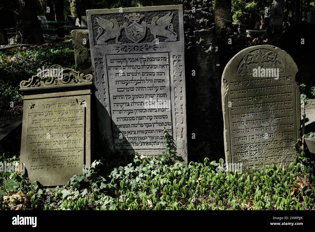 Blick auf den Jüdischen Friedhof in Warschau aus dem Jahr 1806 mit Gräbern prominenter polnischer Juden und Massengräbern derer, die während des Zweiten Weltkriegs ermordet wurden Stockfoto