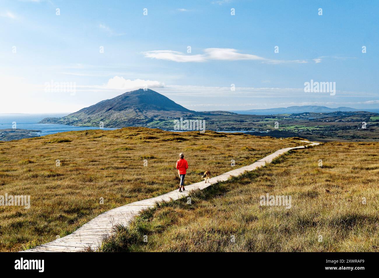 Blick auf den Nordwesten vom Diamond Hill über dem Connemara National Park Visitor Centre in Richtung Tully Mountain, Co. Galway, Irland. Frau, die Hund auf dem Weg ist Stockfoto