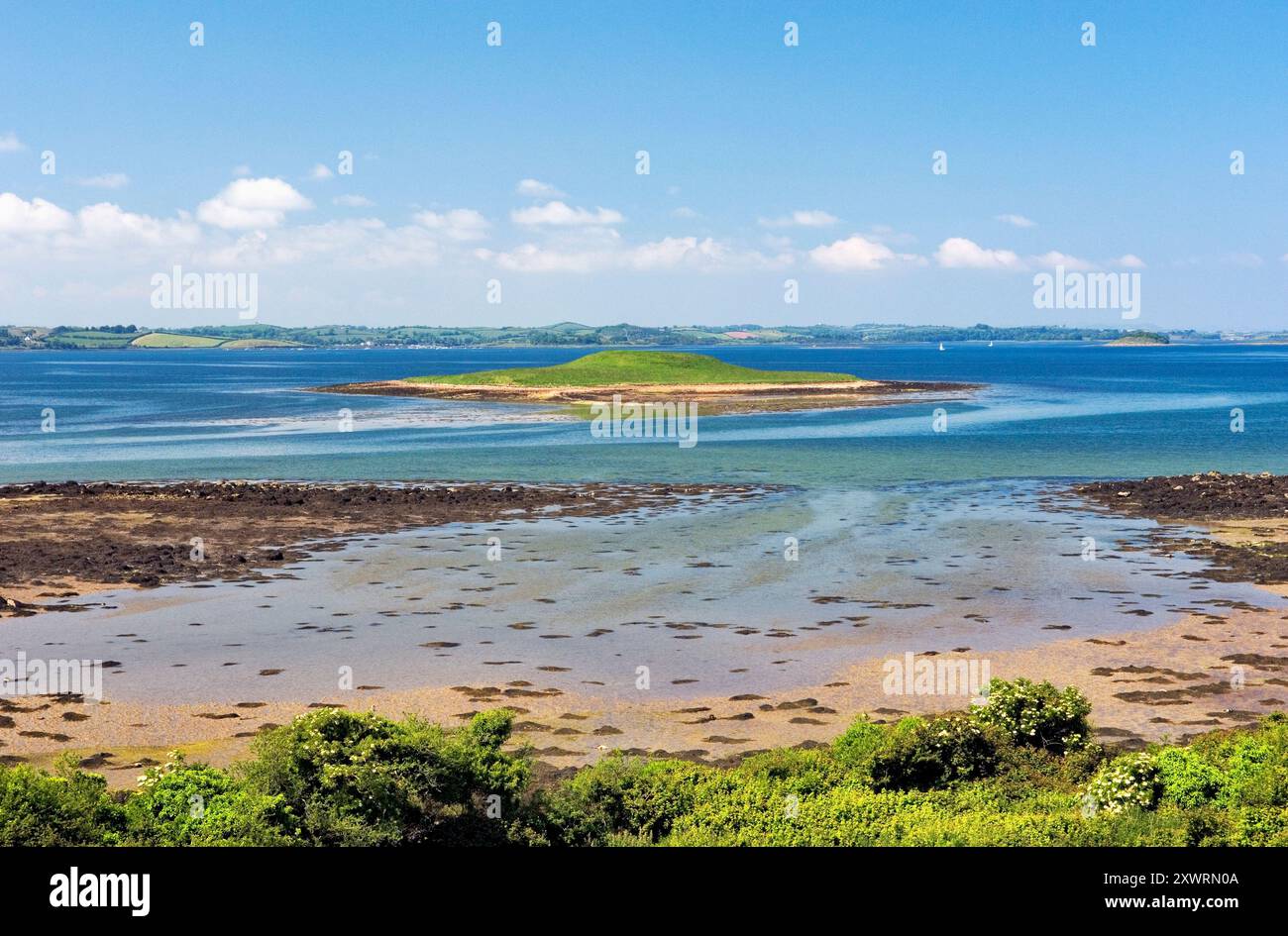 Strangford Lough, County Down, Irland. Vogel und Marine Lebensraum Erhaltung Website. Südufer in der Nähe von Audleys Burg, Castleward. Stockfoto