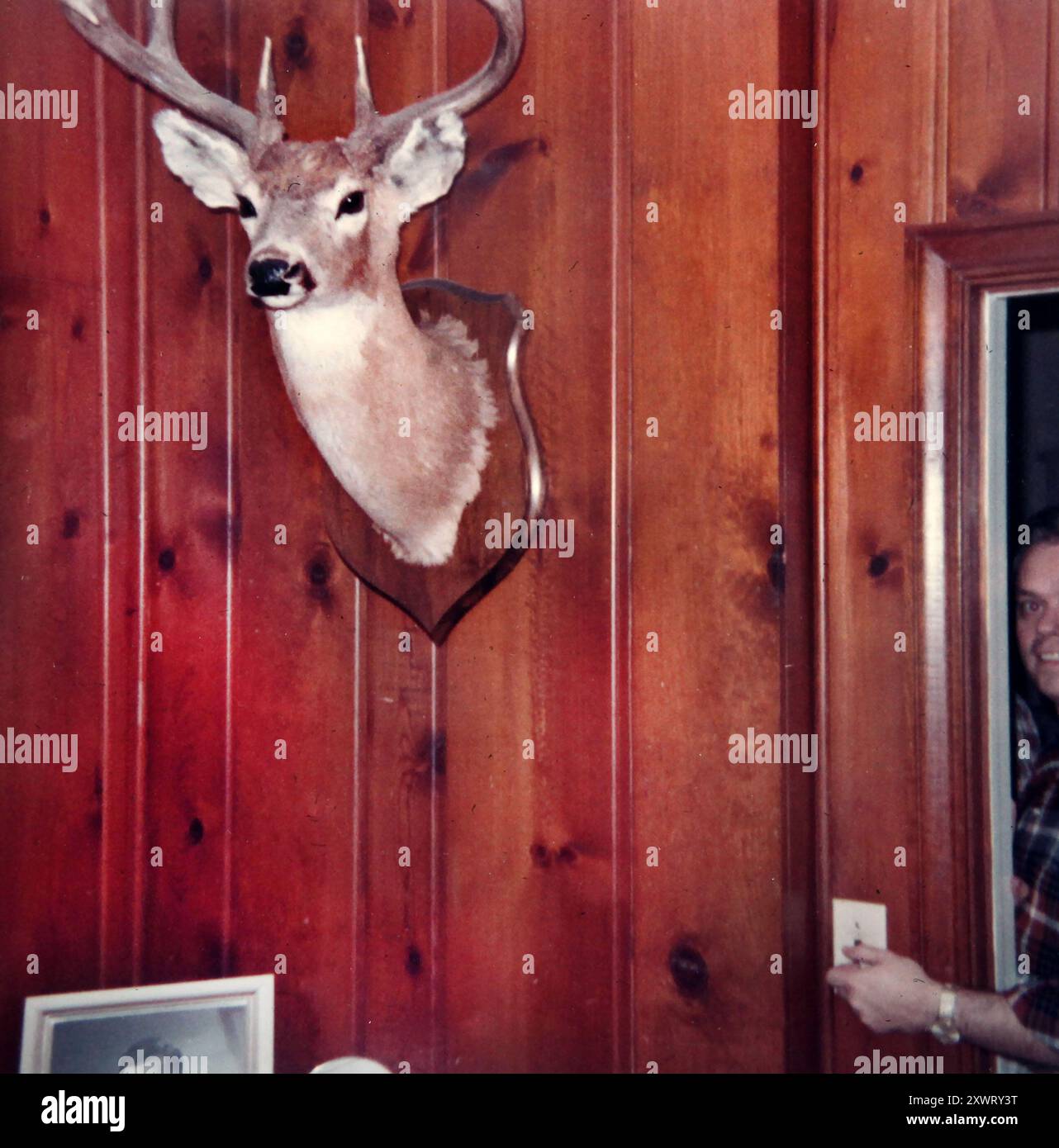 Abstraktes Bild eines montierten Hirschkopfes an der Wand mit Lichtschalter, ca. 1975. Stockfoto