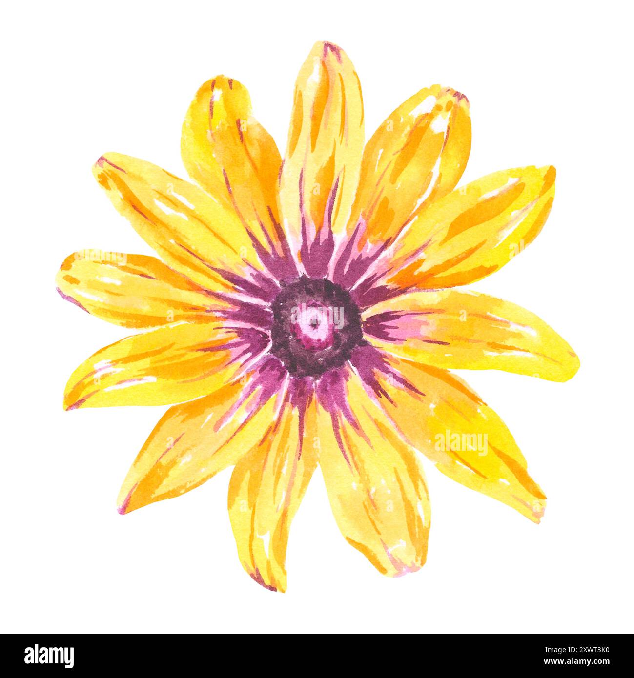 Blume Aquarell Rudbeckia gelb isolierte Illustration Hand gezeichnet für uns im Design Hochzeitseinladung, Postkarte, Muster, Textil, Tassen. Orange Stockfoto