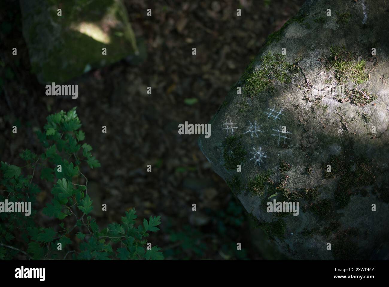Nahaufnahme eines antiken Dolmen in der Region Gelendschik mit moosbedeckten Steinen mit faszinierenden Kratzmustern, die die unbekannten Geheimnisse und die Geschichte in der Zeit symbolisieren. Stockfoto Nahaufnahme eines antiken Dolmen in der Region Gelendschik mit moosbedeckten Steinen mit faszinierenden Kratzmustern, die die unbekannten Geheimnisse und die Geschichte in der Zeit symbolisieren. Stockfoto