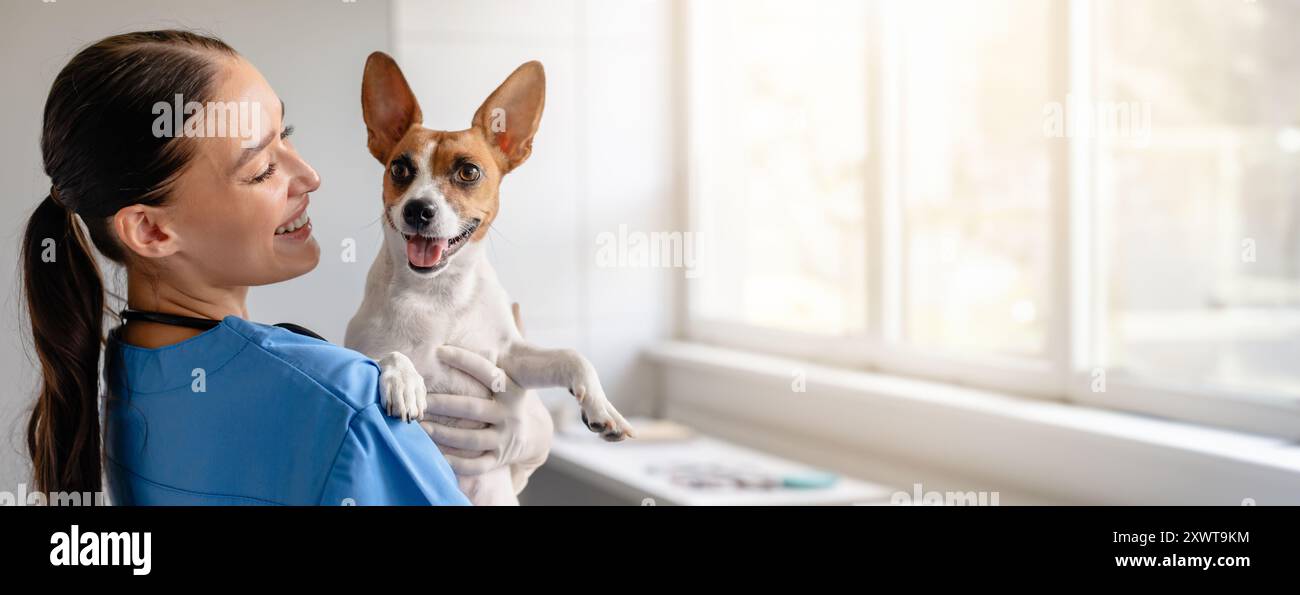 Der Tierarzt hält Happy Dog für die Untersuchung, Kopierraum Stockfoto