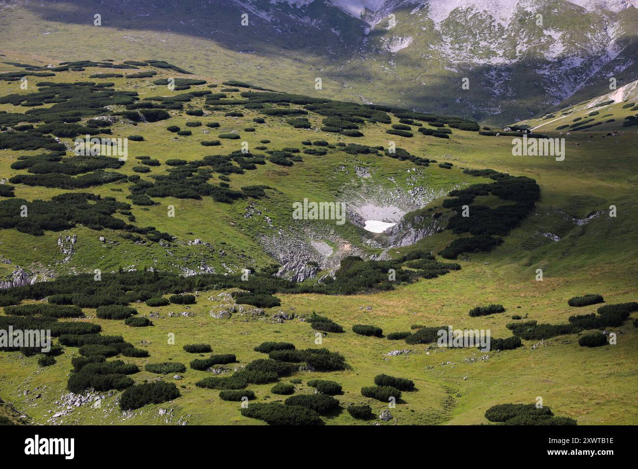 Blick aus der Vogelperspektive auf das Schneebergplateau in Österreich, mit einer grünen alpinen Landschaft, die von niedrigen Sträuchern gesäumt ist. Ein kleines Stück Permafrost Stockfoto