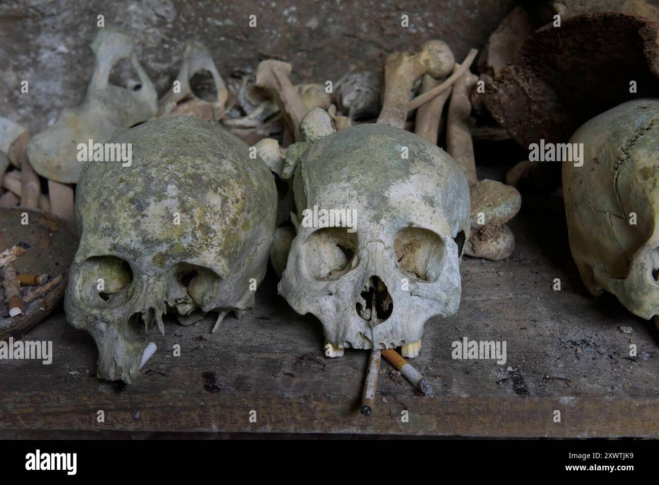 In dieser Höhle wurden schon viele Angehörige der Toraja beerdigt. Von vielen ist nur noch der Totenschädel vorhanden. In ihrem Glauben werden die Familienmitglieder mit Getränken und Lebensmitteln versorgt, aber auch mit Zigaretten. Religion Ihre ursprüngliche Religion bezeichnet man heute als Rituale der Ahnen aluk to dolo. Sie basieren auf den Gegensätzen Leben und Tod, Ost und West, Sonnenaufgang und - untergang. Viele Riten bleiben erhalten, obwohl mit den Holländern auch Missionare kamen. Diese untersagen zum Beispiel alle Bräuche zur Förderung der Fruchtbarkeit, befürworten aber Stockfoto