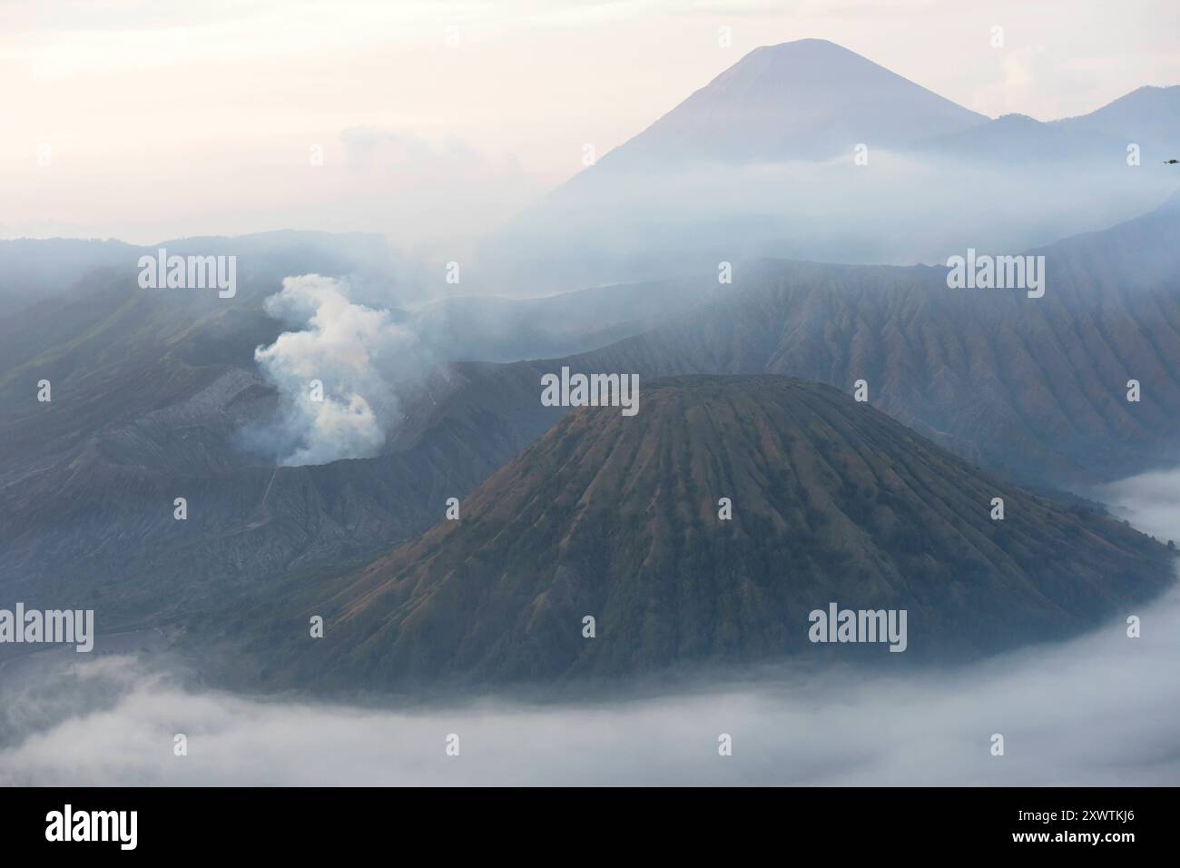 Frühnebel bei Sonnenaufgang in der Tengger-Caldera. Links ist der Bromo rauchender Krater / Höhe: 2,329 Meter und rechts vorne der Batok zu sehen, im Hintergrund der Vulkan Semeru mit 3676 m Höhe der höchste Berg der indonesischen Insel Java. Der Nationalpark Bromo-Tengger-Semeru besteht seit 1982. Der mittlere Teil des Namens verweist auf das hier lebende Volk der Tengger. Zum Nationalpark gehören der 3676 m hohe Stratovulkan Semeru, der höchste Berg der Insel, sowie vier in der Tengger-Caldera liegende Vulkane, deren Bekanntester der Bromo ist. Die Caldera wird vom Tengger-Sandmeer malaiisch Stockfoto