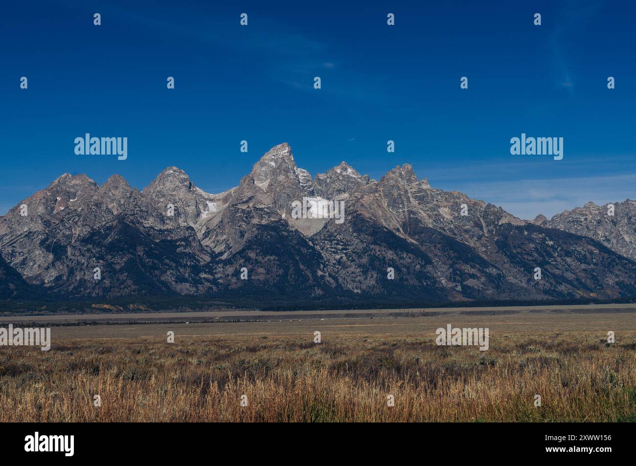 Blick auf die Grand Tetons mit einer Graswiese im Vordergrund. Grand Teton National Park, Wyoming Stockfoto