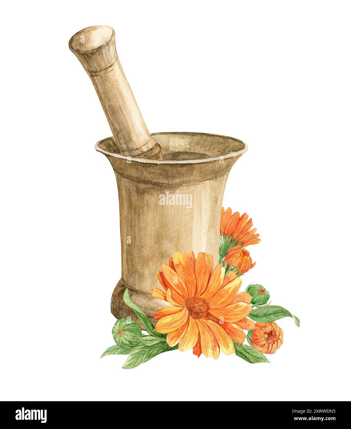 Antiker Kupfermörtel und Ringelblumen. Herstellung von Kräutertee, Tonic. Das Konzept der Phytotherapie, Heimlabor. Zusammensetzung für das Etikett Stockfoto