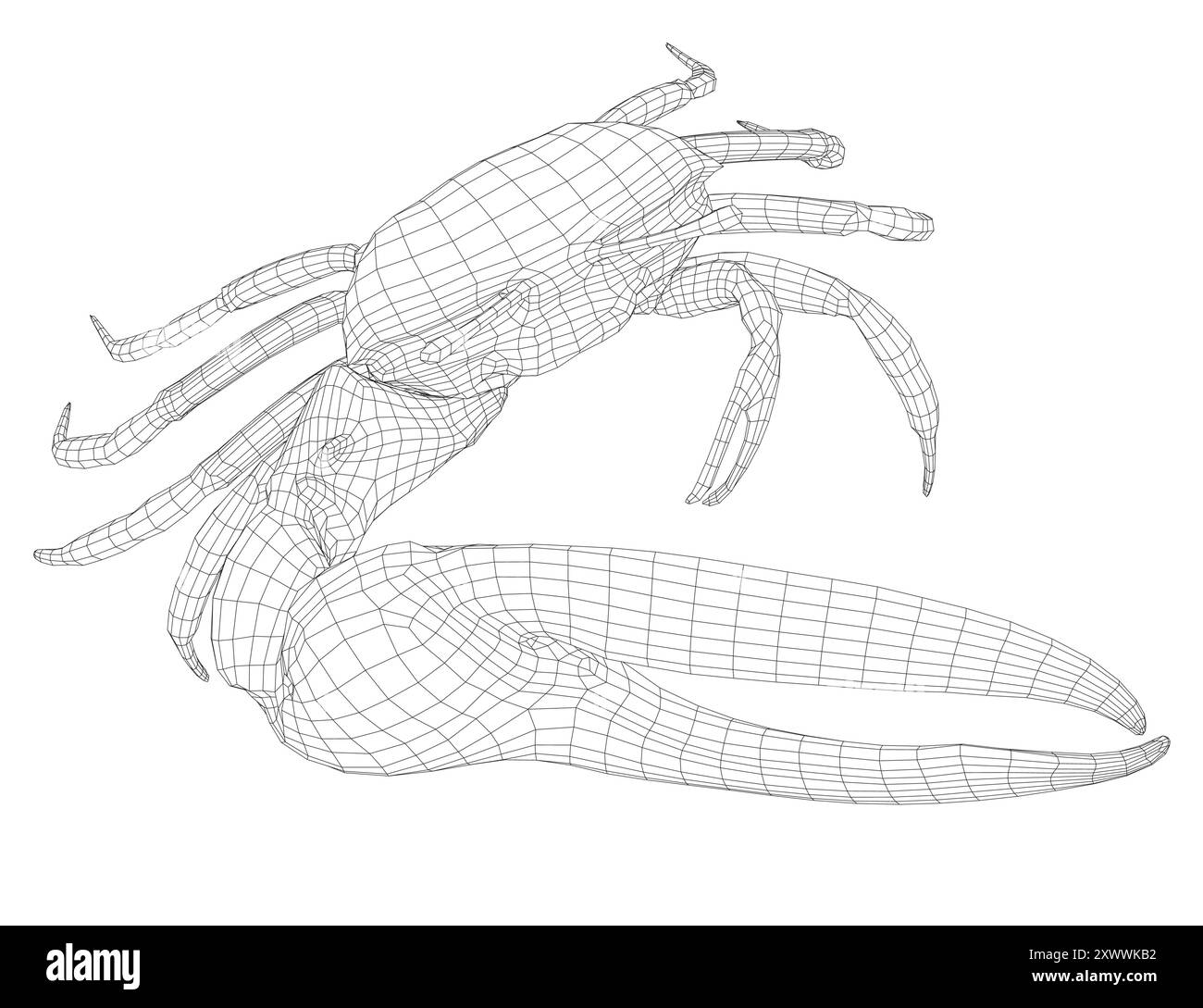Drahtmodell einer Krabbe mit einer riesigen Klaue aus schwarzen Linien, isoliert auf weißem Hintergrund. Stock Vektor