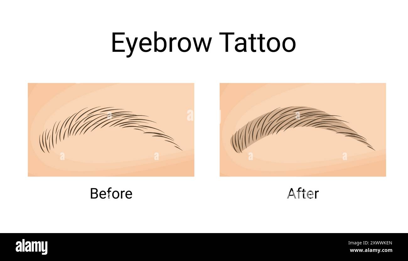 Puder Brows Tattoo vorher und nachher. Vektorgrafik. Stock Vektor