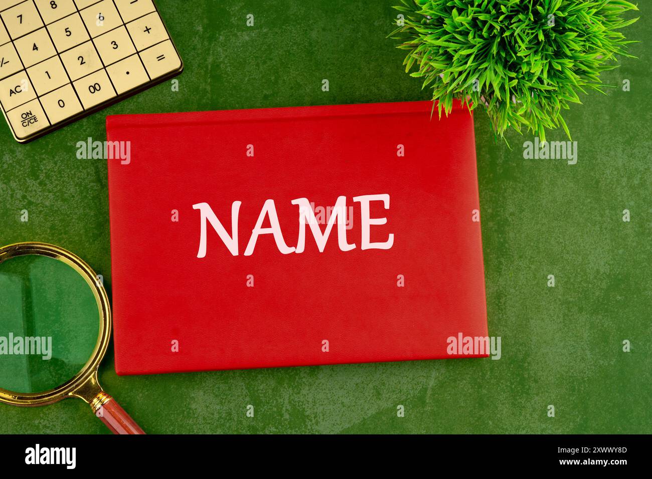 NAMENSWORT auf dem Cover eines Geschäftsbuchs auf grünem gesättigtem Hintergrund Stockfoto