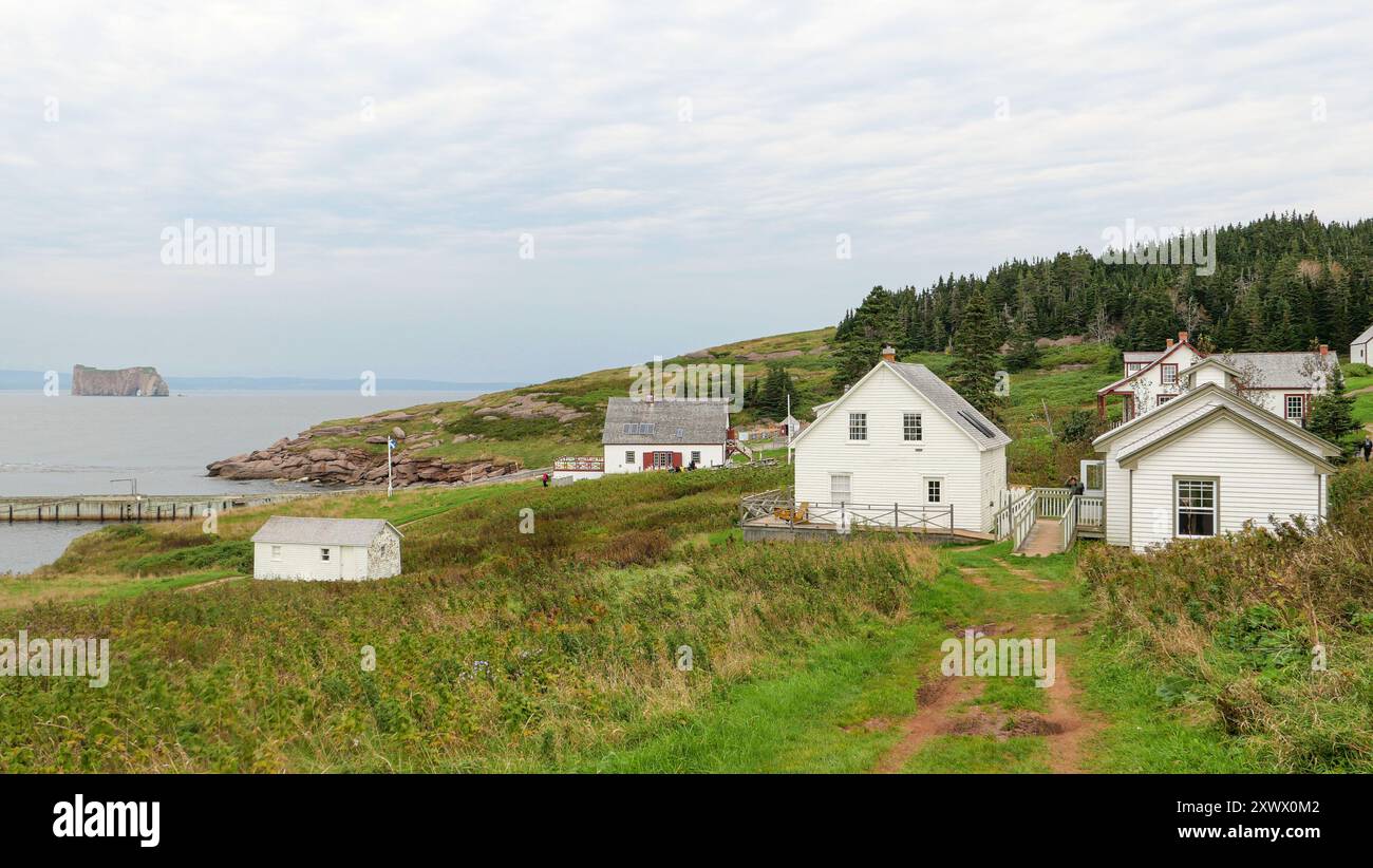 Kanada, Québec, Gaspe Peninsula (Gaspesia): Bonaventure Island bildet zusammen mit Perce Rock den Ile-Bonaventure-et-du-Rocher-Perce Nationalpark. A f Stockfoto