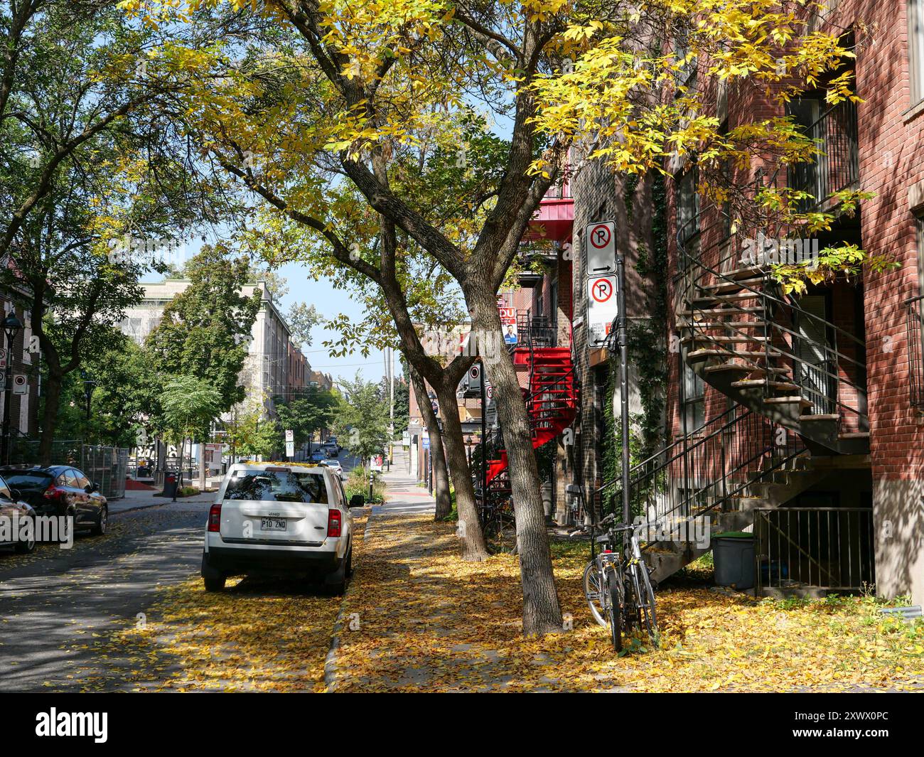 Kanada, Quebec, Montreal: Traditionelle Wohngebäude in einer Straße neben der Straße „Rue Sainte-Catherine“ im Gay Village. Teppich des Herbstes l Stockfoto