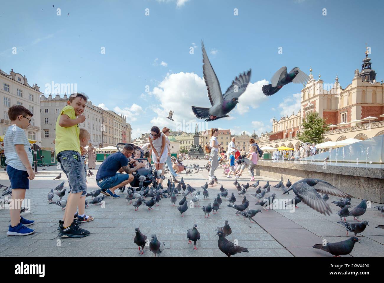 Krakau, Polen: 23. Juli 2022: Taubenfütterung, Touristenattraktion auf dem Hauptmarkt in der Altstadt von Krakau, Polen. Stockfoto