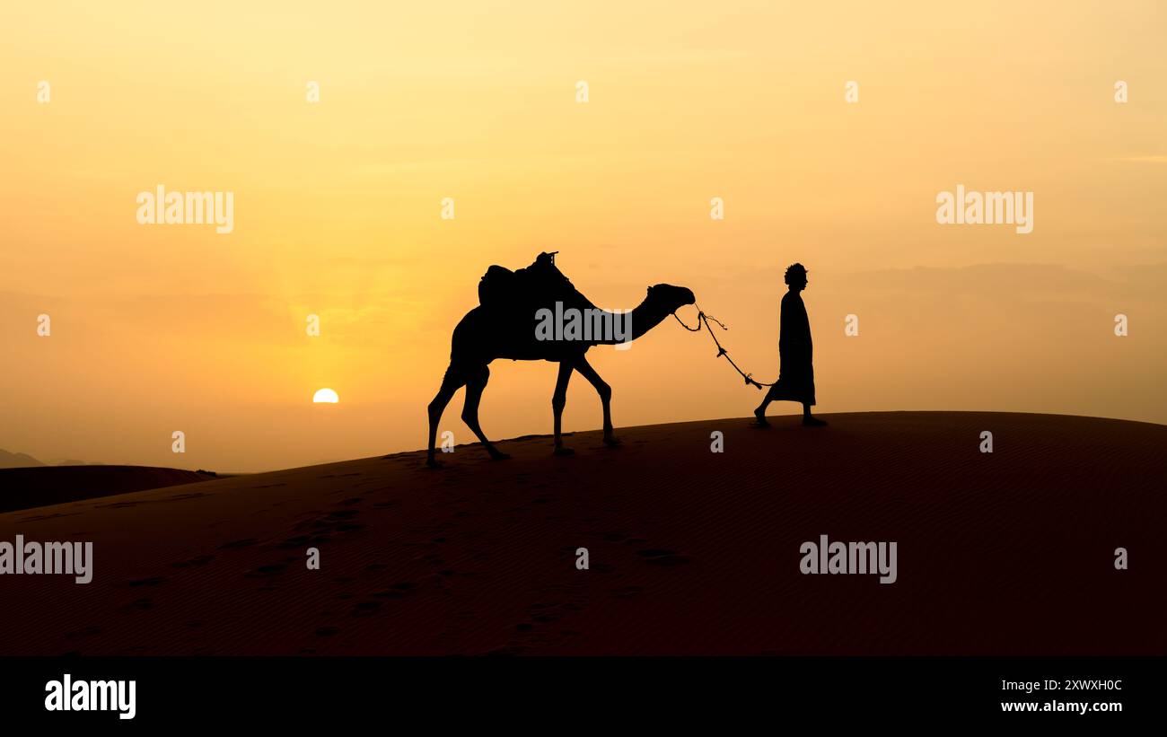 Silhouette eines nicht identifizierten Berbermanns, der während des Sonnenuntergangs in der Sahara, Marokko, Kamel über Sanddünen führt Stockfoto