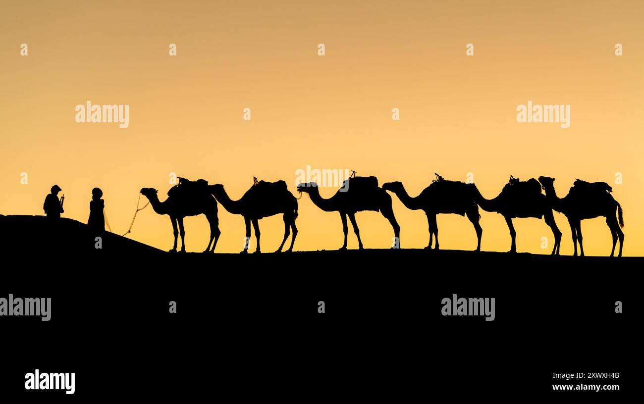 Silhouette unbekannter Berbermänner mit Kamelkarawane auf Sanddünen bei Sonnenuntergang in der Sahara, Marokko Stockfoto