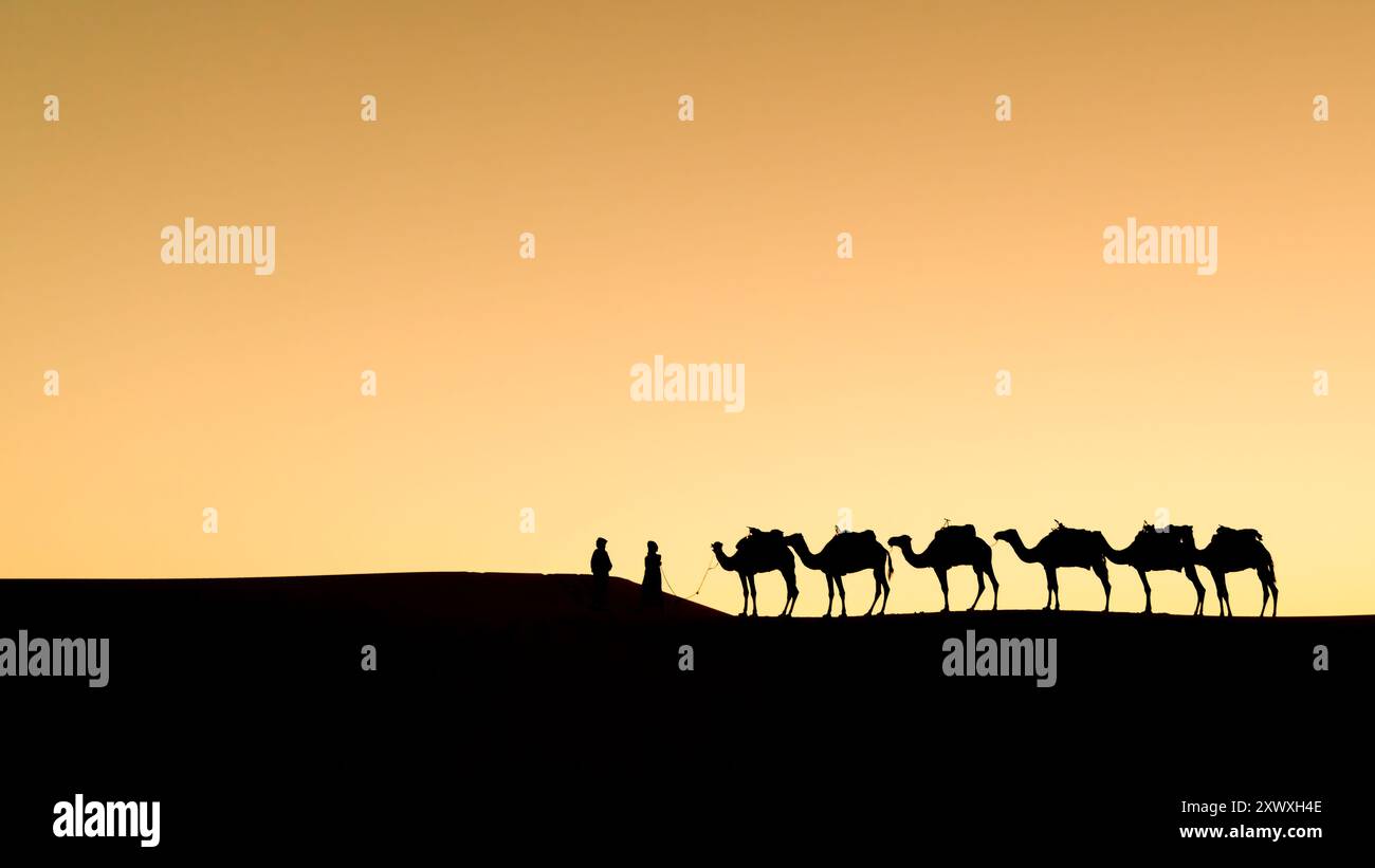 Silhouette unbekannter Berbermänner mit Kamelkarawane auf Sanddünen bei Sonnenuntergang in der Sahara, Marokko Stockfoto