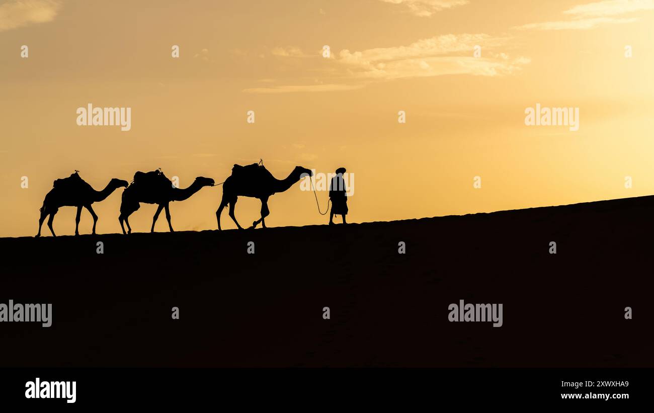 Silhouette eines nicht identifizierten Berbermanns mit seiner Kamelkarawane auf Sanddünen bei Sonnenuntergang in der Sahara, Marokko Stockfoto