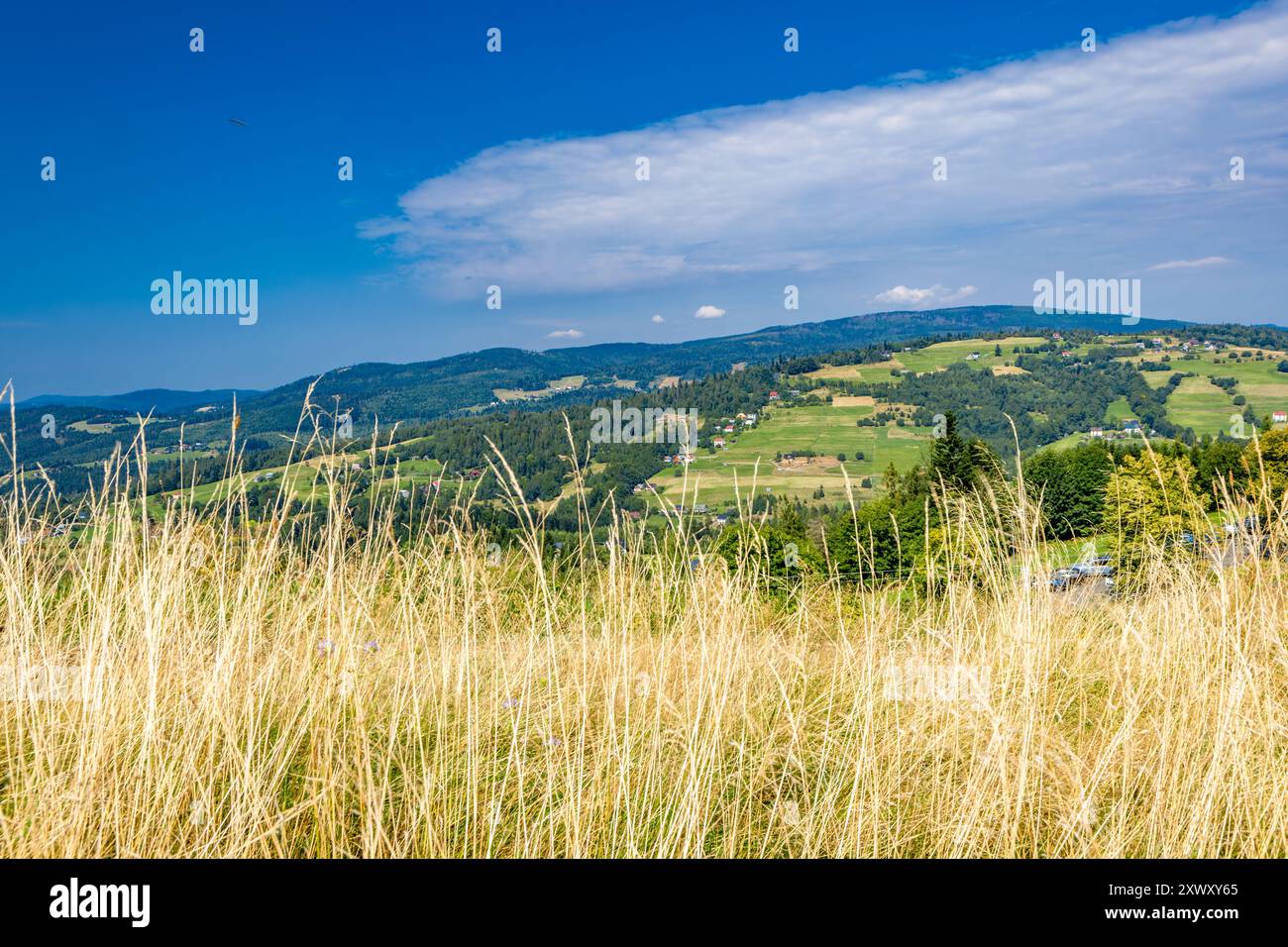 Blick auf die Berge der Schlesischen Beskiden vom Ochodzita-Gipfel, Panorama der Region Koniaków Stockfoto