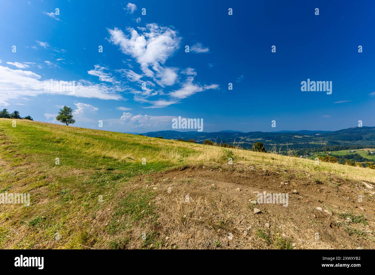 Blick auf die Berge der Schlesischen Beskiden vom Ochodzita-Gipfel, Panorama der Region Koniaków Stockfoto