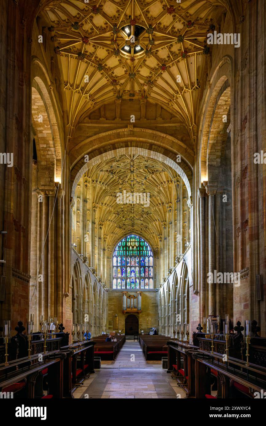 Das Innere der Sherborne Abbey vom Alter bis zur Rückseite der Abbey Stockfoto