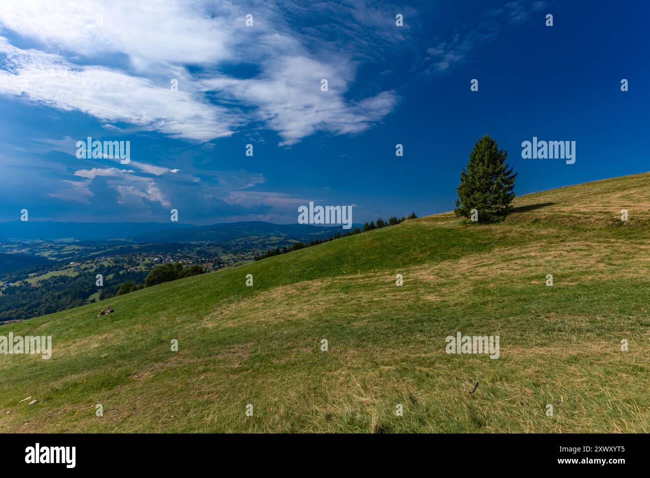 Blick auf die Berge der Schlesischen Beskiden vom Ochodzita-Gipfel, Panorama der Region Koniaków Stockfoto