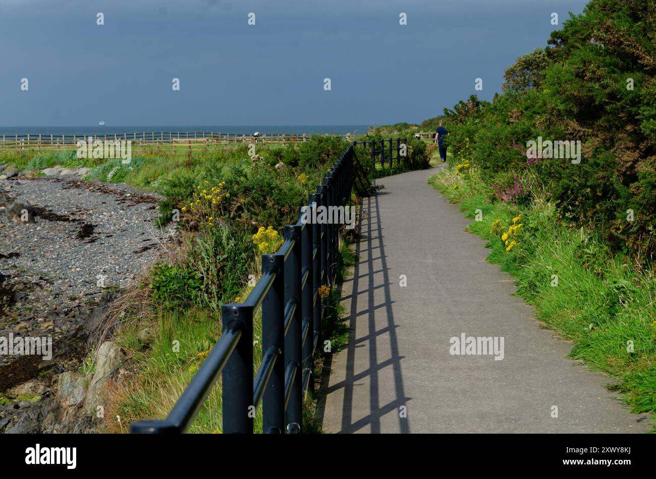 Fußgängerbrücke über die felsige Küste in County unten mit diagonalen Schatten, die von der Sonne geworfen werden Stockfoto