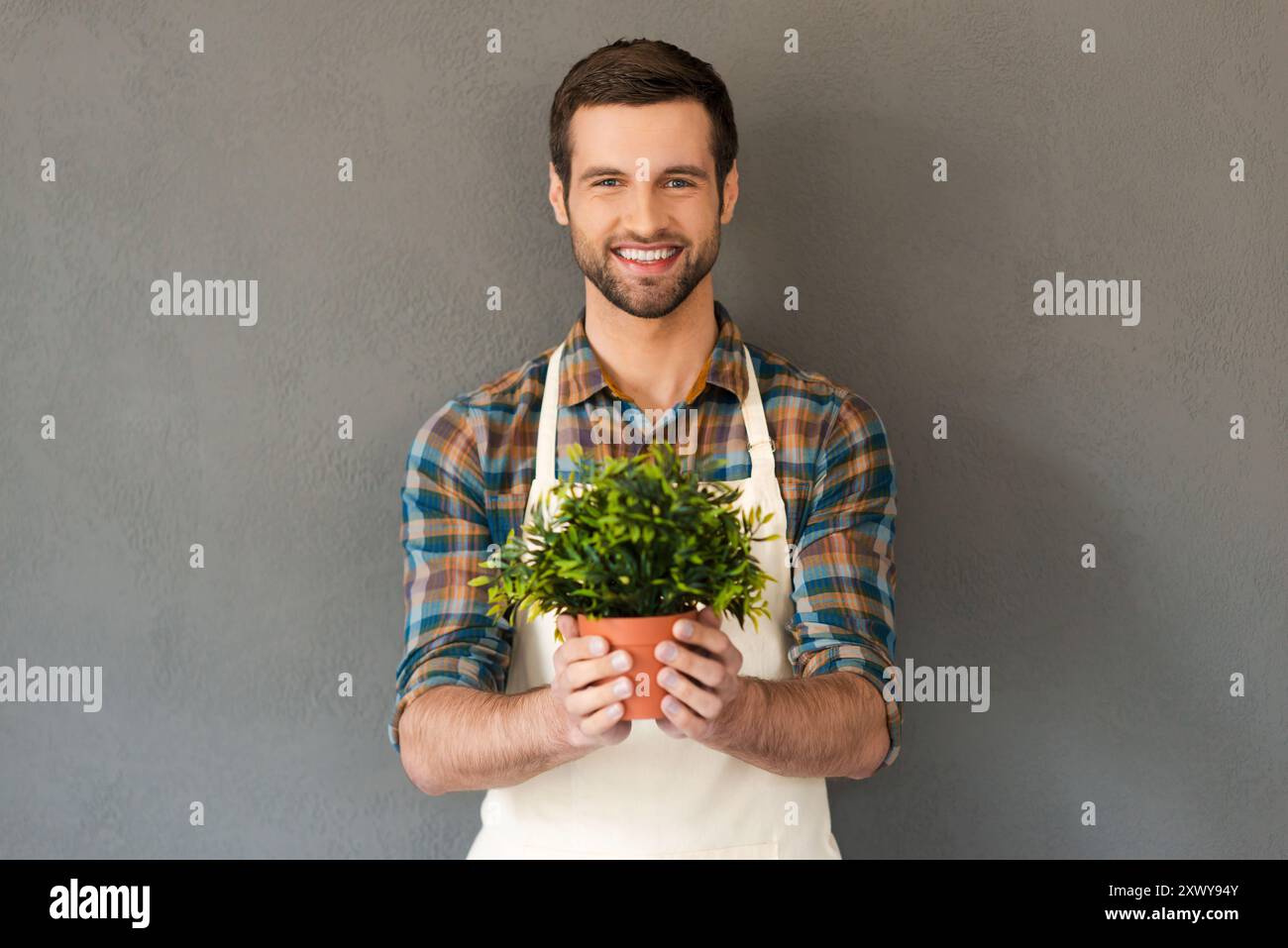 Fröhlicher Gärtner. Fröhlicher junger Gärtner hält Blumentopf und lächelt in die Kamera, während er vor grauem Hintergrund steht Stockfoto