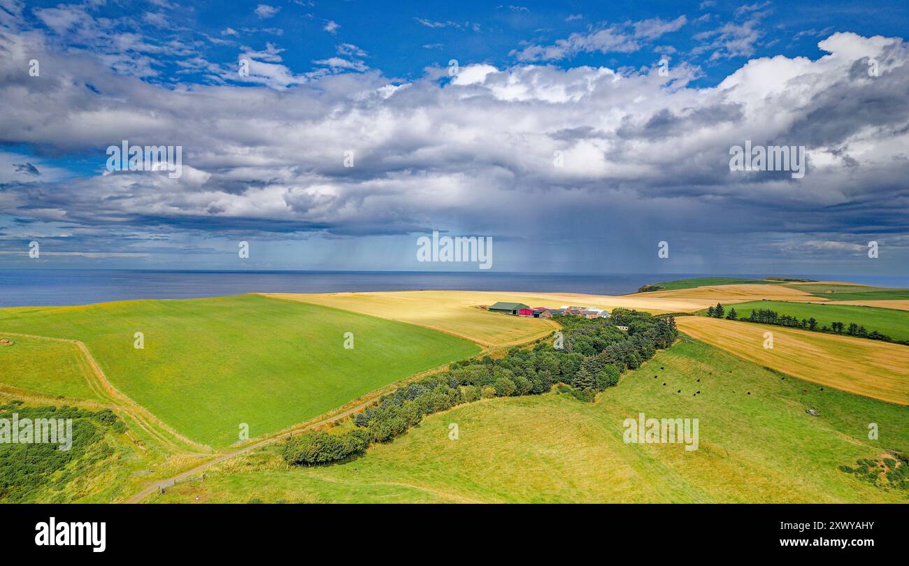 Gerstenfelder Aberdeenshire Schottland im Sommer ein blauer Himmel und sich nähernde Regenwolken über ungeschnittenen Ernten in der Nähe von Crovie Village Stockfoto