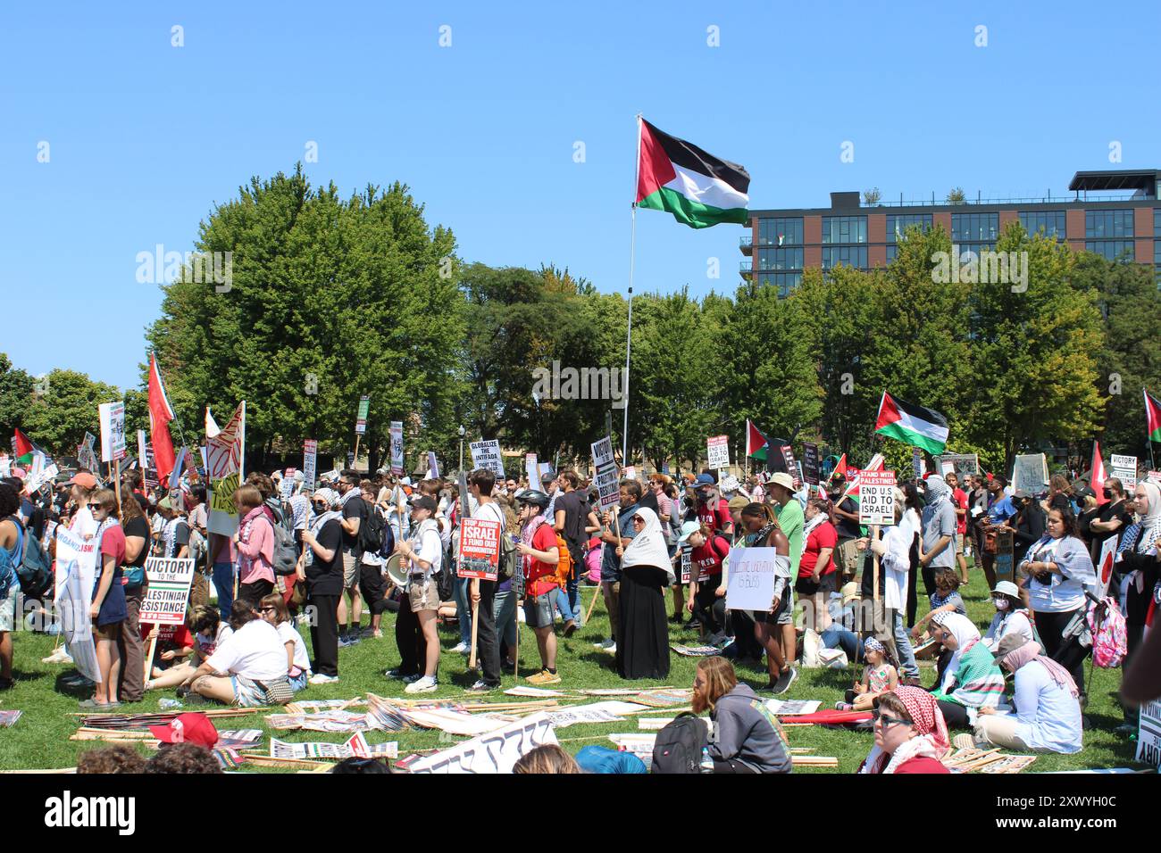 Palästinensische Flagge über Anti-Isreal-Demonstranten im Union Park während der Demokratischen Nationalversammlung in Chicago Stockfoto