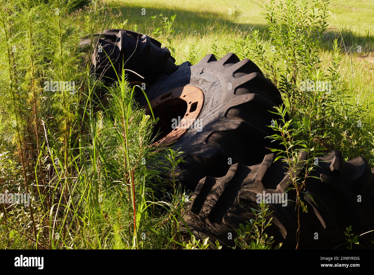 Kurvige Landstraße im Südosten Georgiens, USA, mit einem alten heruntergekommenen Bauernhaus in einem Fahrerlager mit alten Traktorreifen, die mit Gras bewachsen sind! Stockfoto