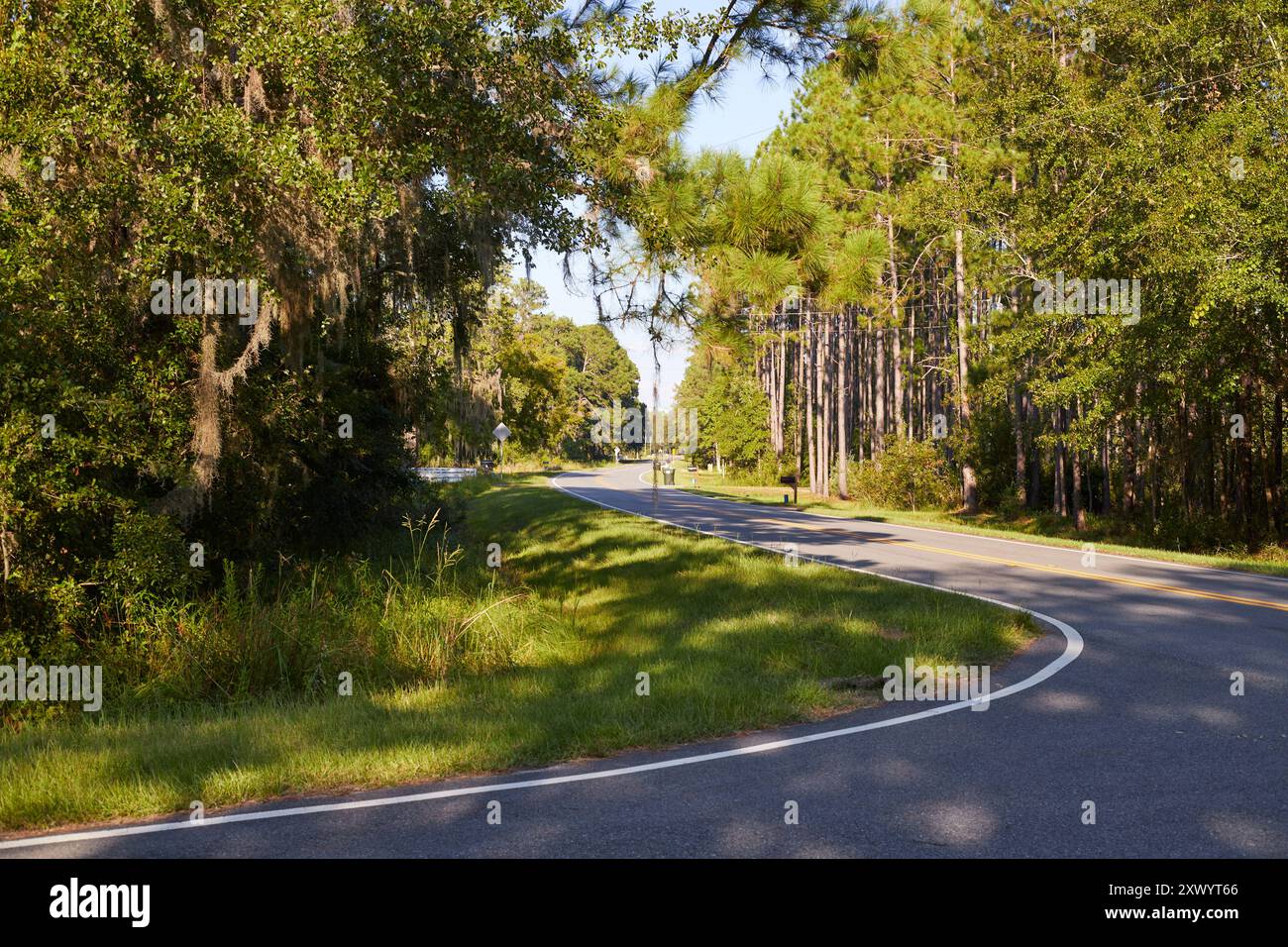 Kurvige Landstraße im Südosten Georgiens, USA, mit einem alten heruntergekommenen Bauernhaus in einem Fahrerlager mit alten Traktorreifen, die mit Gras bewachsen sind! Stockfoto