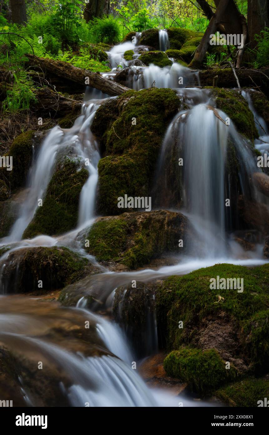 Der Ruhige Fluss Hängt Am Lake Colorado Stockfoto