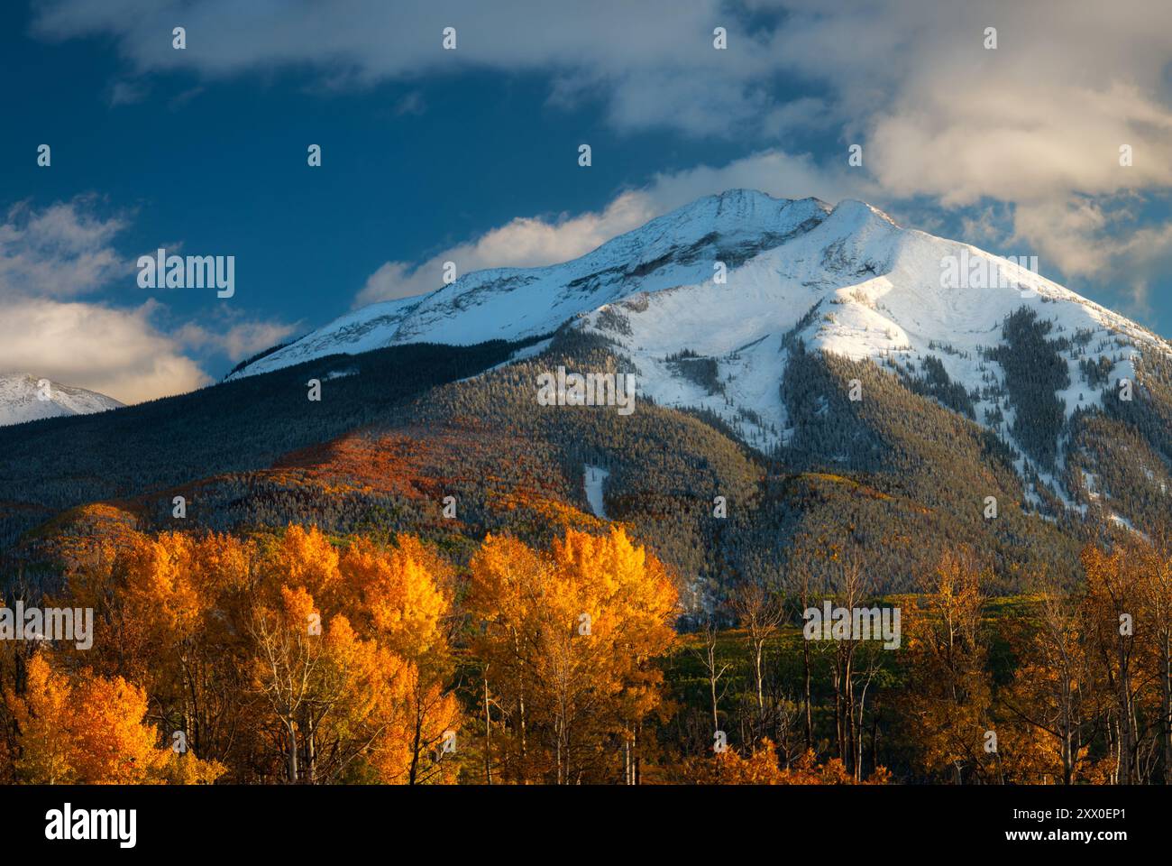 Mountain Peak Fall Colors Colorado Stockfoto