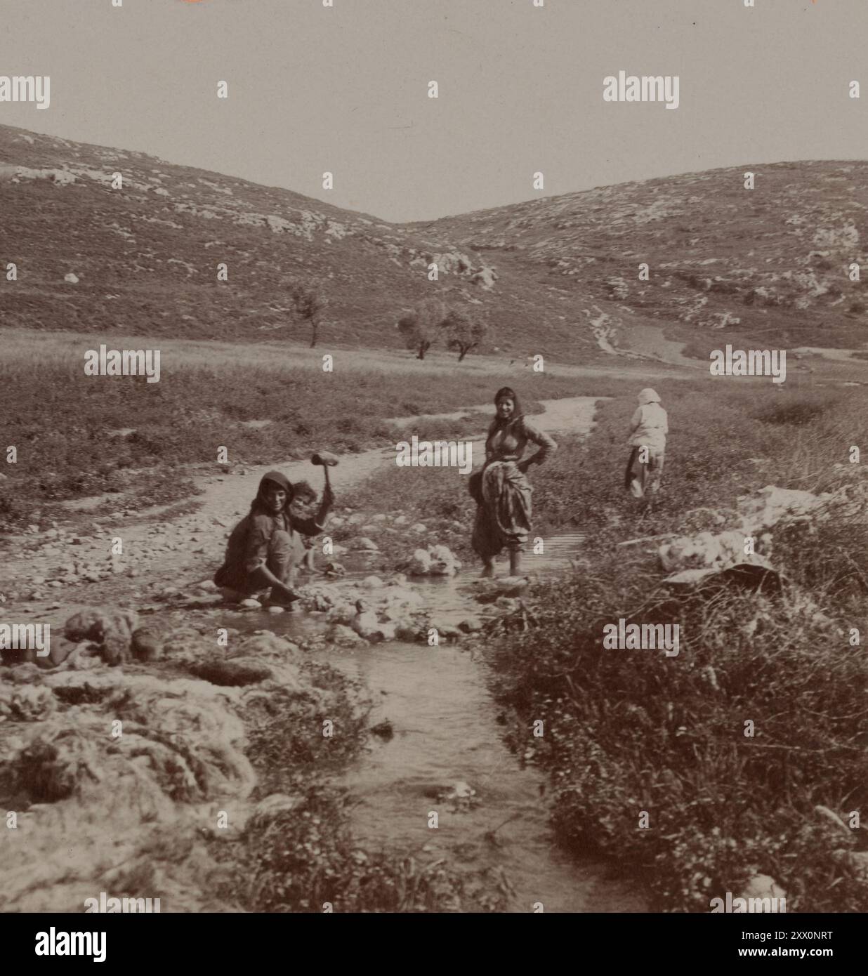 Das Leben in Palästina im frühen 20. Jahrhundert. Ureinwohner waschen Wolle im Frühling in der Nähe von Jenin. Das Historische Palästina. Osmanisches Reich. Dezember 1903 Stockfoto