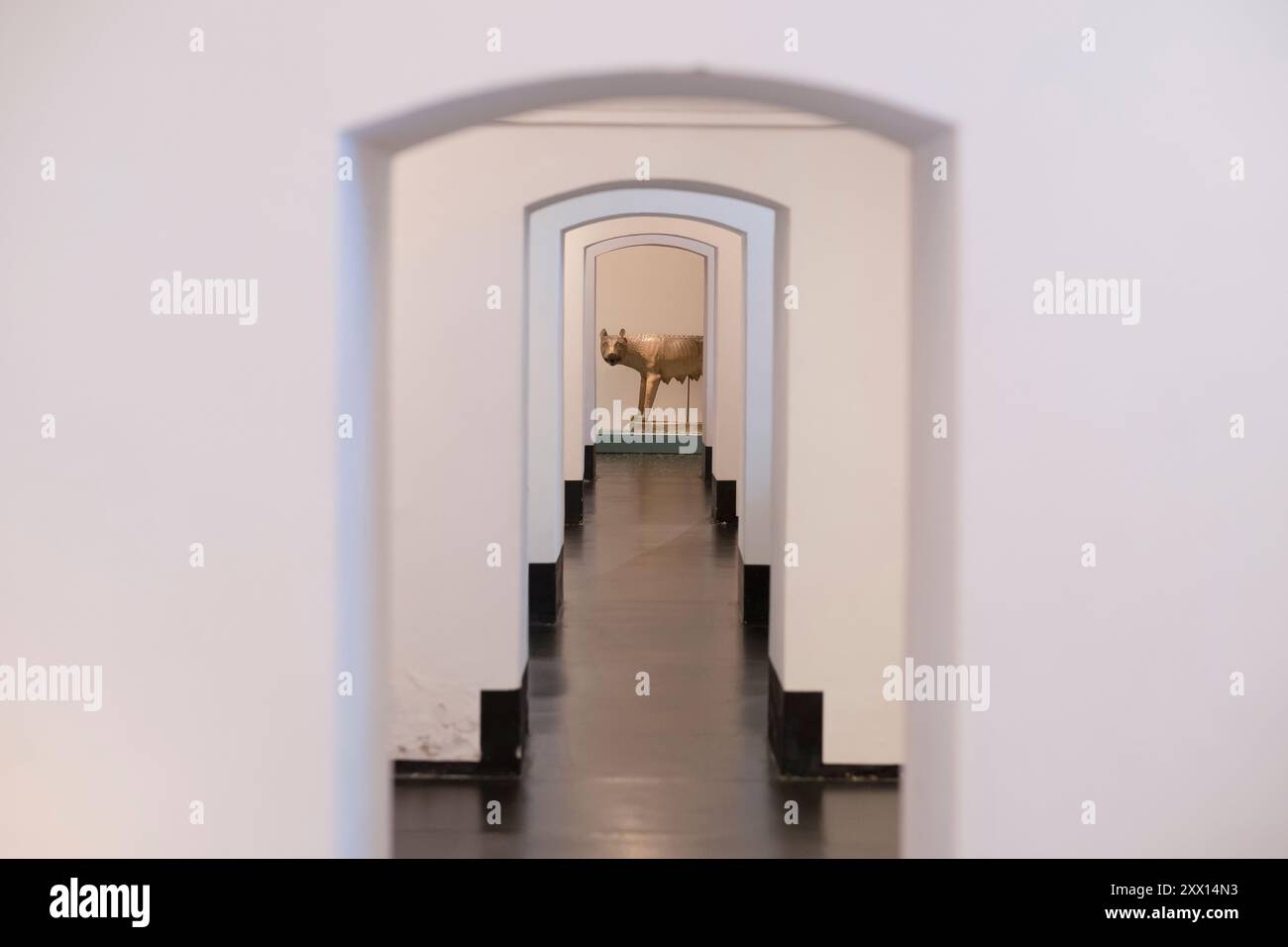 Skulptur des Wolfes, der Romulus und Remus säugte, im Thorvaldsen Museum in Kopenhagen, Dänemark Stockfoto