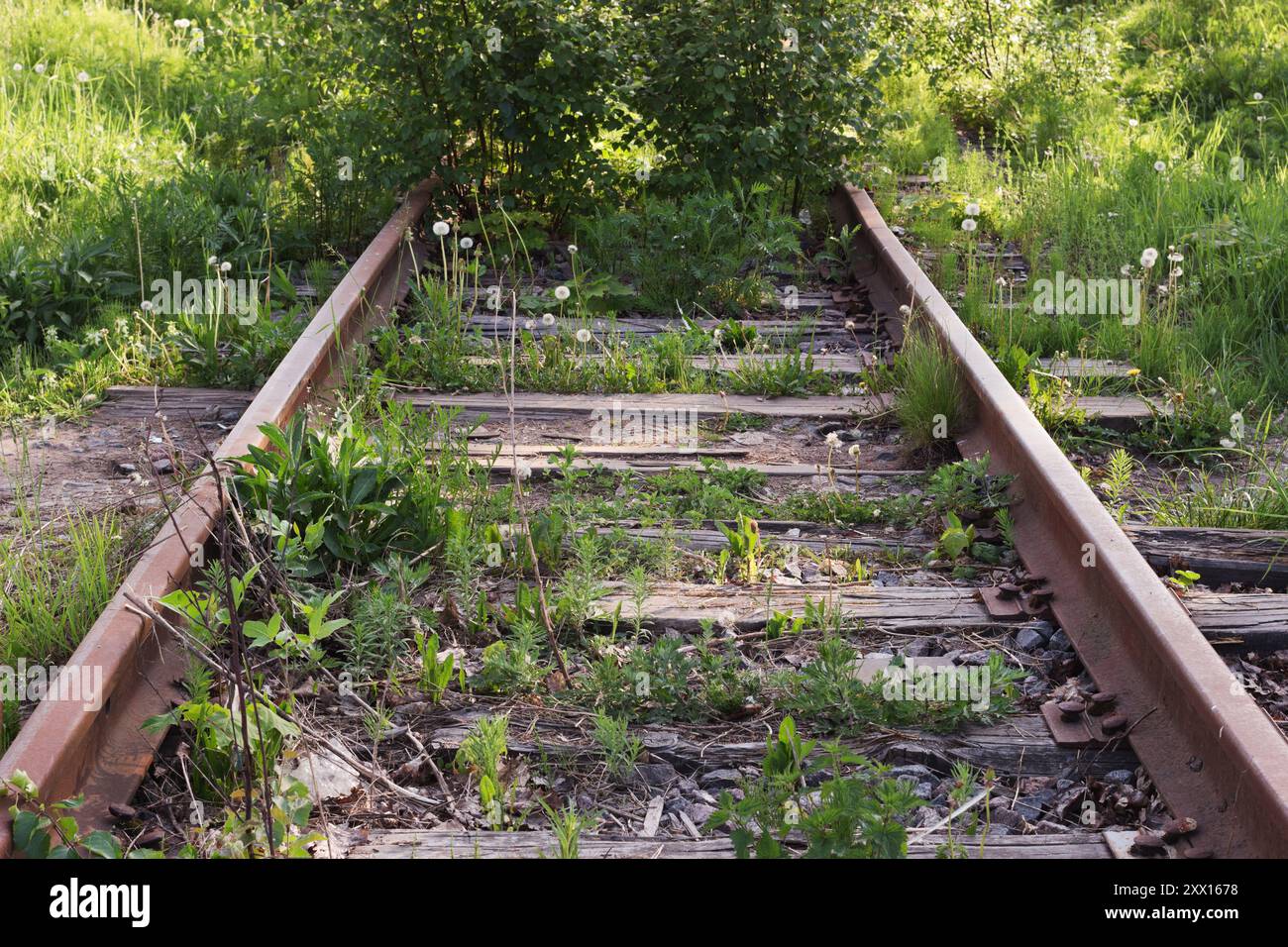 Eine verlassene Eisenbahn in einer Sackgasse Stockfoto