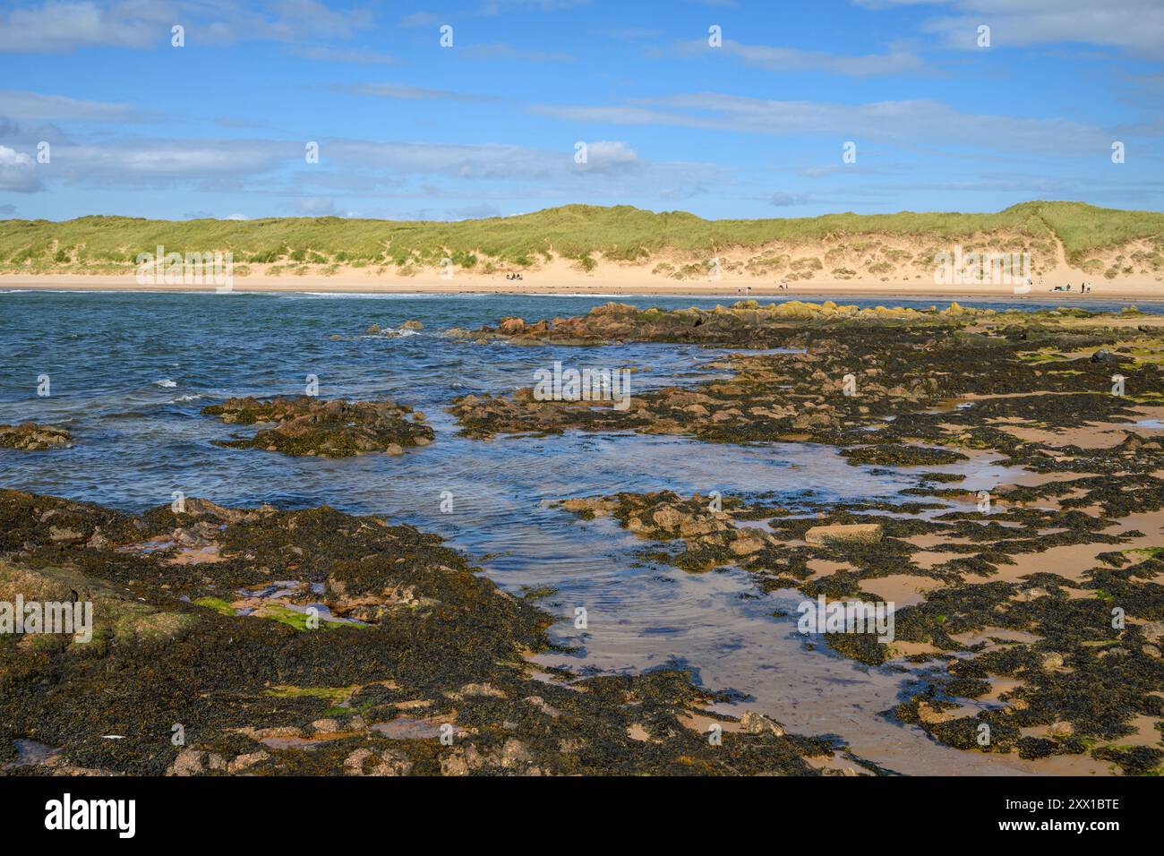 Port Erroll and Cruden Bay, Aberdeenshire, Schottland, Vereinigtes Königreich. Stockfoto