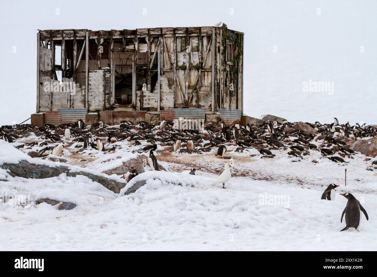 Ansichten der chilenischen inaktiven Forschungsbasis Gonzalez Videla am Wasserbootpunkt in Paradise Bay, Antarktis, Polarregionen Stockfoto