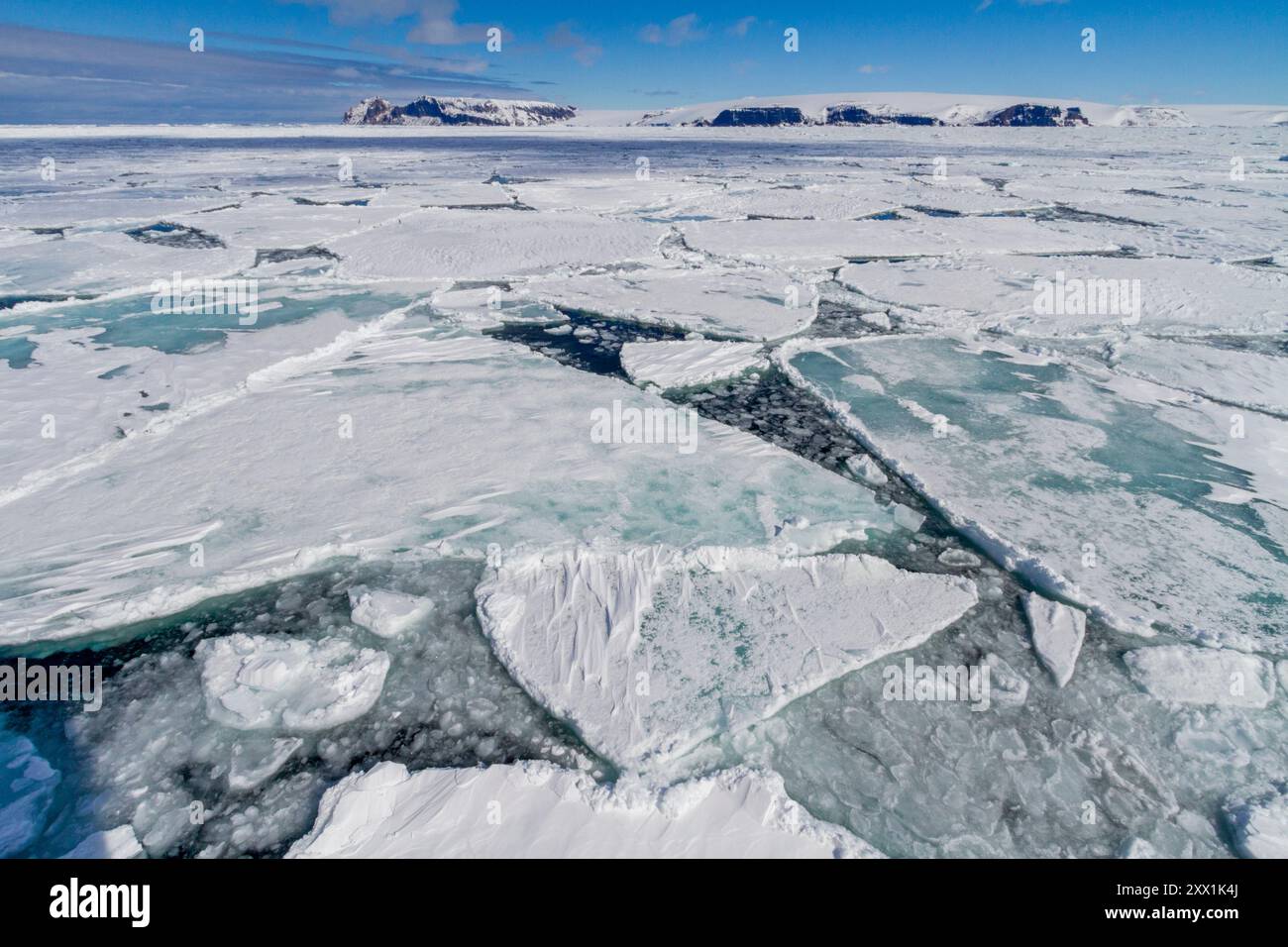 Im ersten Jahr bilden Meereis Schollen im Antarktischen Sund, im südlichen Ozean, in Polarregionen Stockfoto