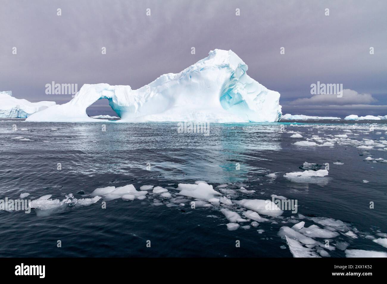 Eisberge in der Nähe der Antarktischen Halbinsel während der Sommermonate, Antarktis, Südpolarregionen Stockfoto