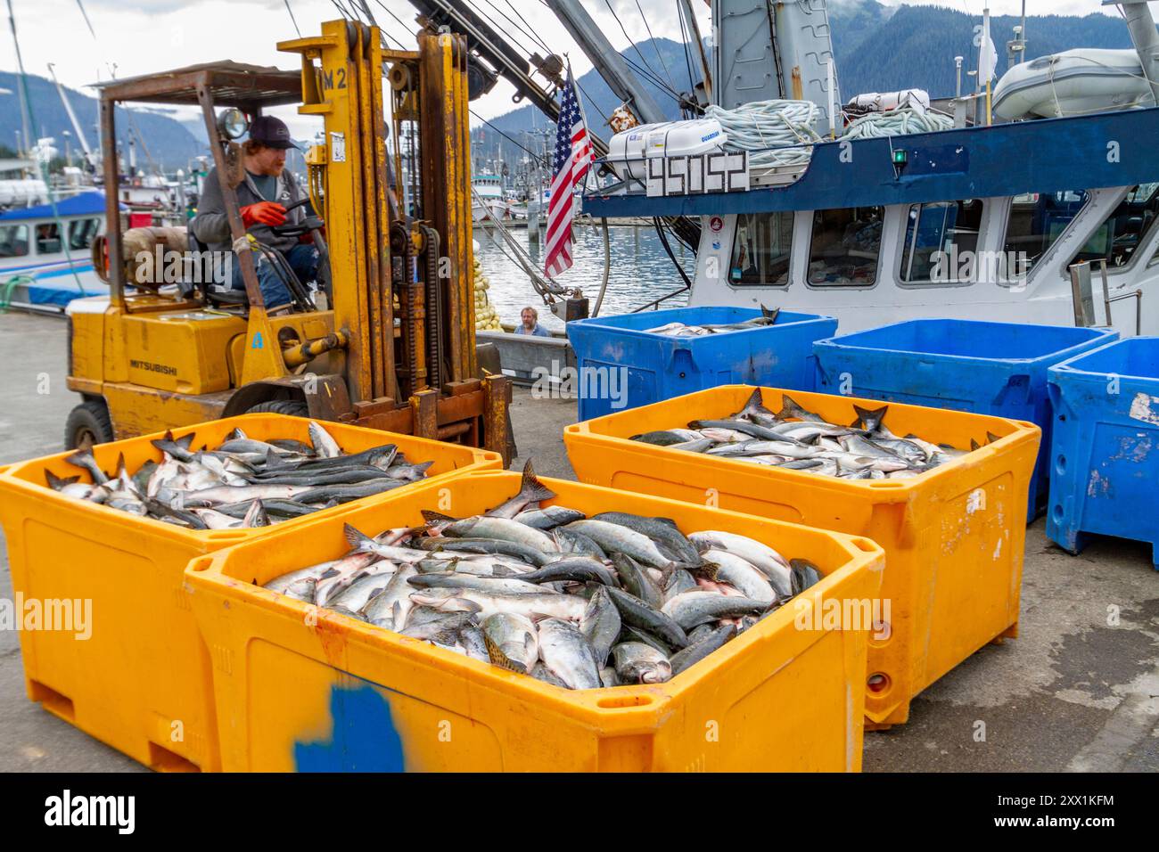 Fork Life Truck sammelt Fänge am Ufer des Fischerdorfes Petersburg auf Mitkof Island, Südost-Alaska, Pazifik Stockfoto