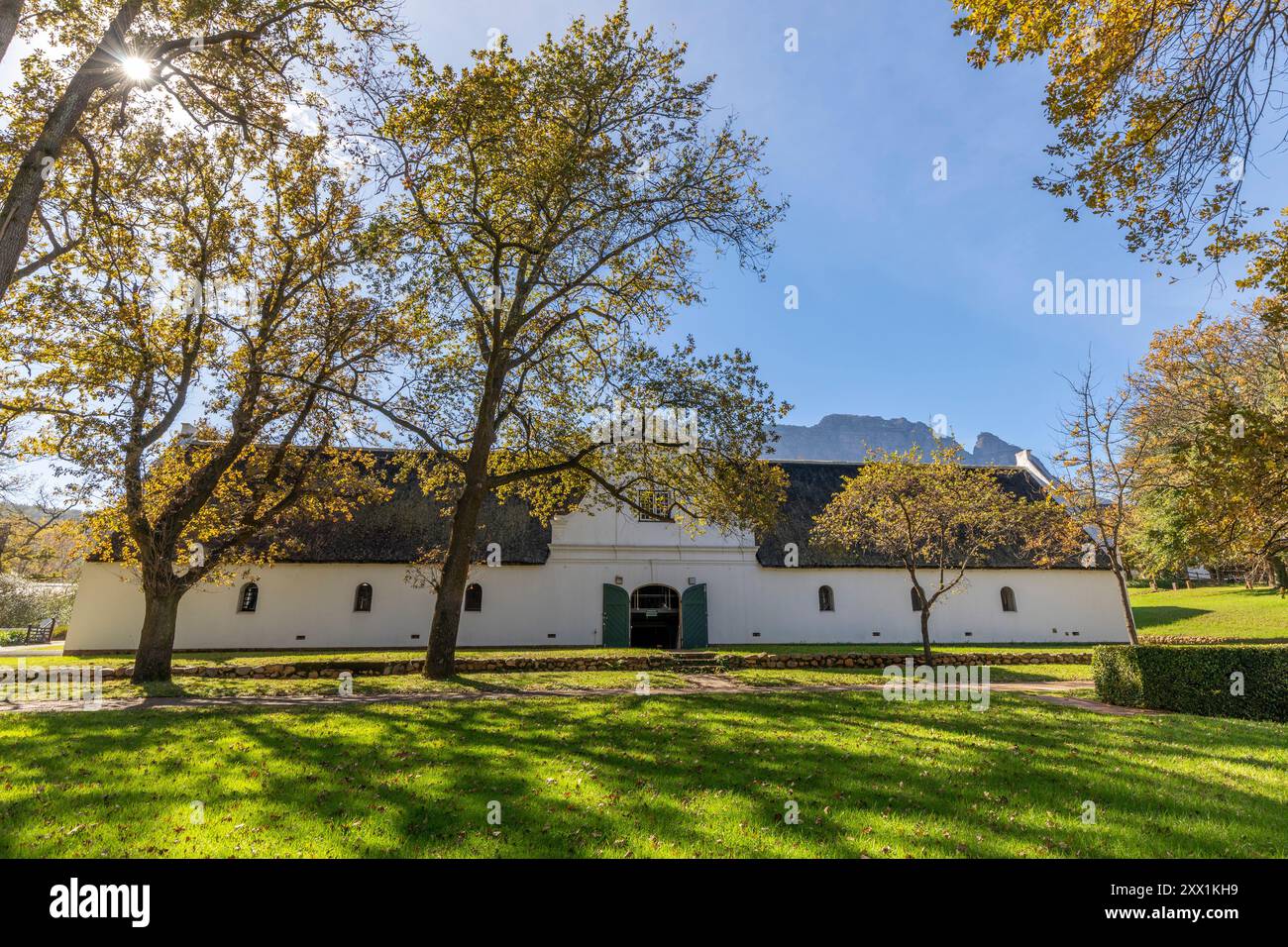 Weingut Rustenberg, Stellenbosch, Provinz Westkap, Südafrika, Afrika Stockfoto