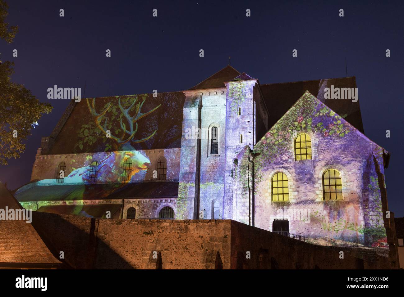 Lichter der Stiftskirche Saint-Andre, künstlerisches Design von Fauna und Flora, von Kräutern bis Bestiarien, M2 Creative, Stadt Chartres Stockfoto