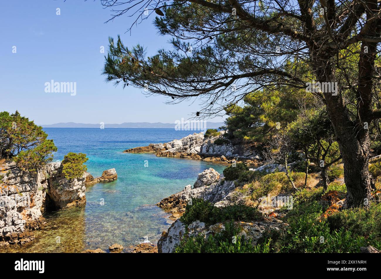 Kleiner Bach im Norden der Insel Prezba, Insel Lastovo, Kroatien, Südosteuropa Stockfoto