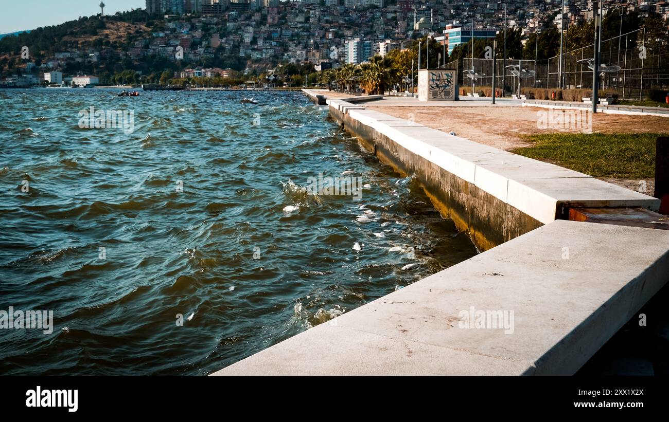 Izmir, Türkei. August 2024. Im Golf von Izmir sind Massenfische aufgrund des Klimawandels und der Umweltverschmutzung gestorben. Tote Fische spülten an der Küste, während Putzmannschaften gesehen wurden, die die Küste von toten Fischen säuberten. Quelle: İdil Toffolo/Alamy Live News Stockfoto